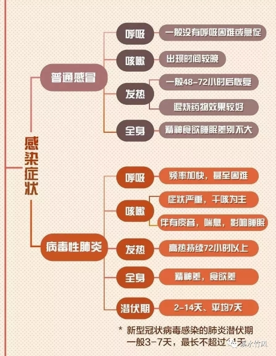 7.webp (2) 7.webp (2)