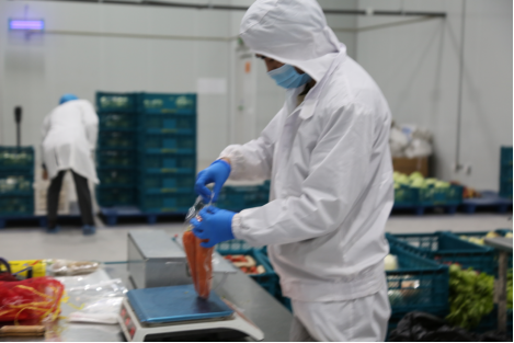 【0211】蘇寧物流加工中心一天送出的菜 相當(dāng)于30余個(gè)農(nóng)貿(mào)市場(chǎng)242.png