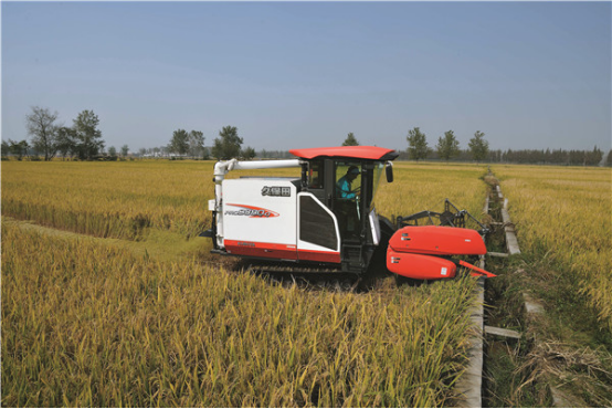 麥客老羅生意這么好？ 七臺駿鈴為何還年年換車！411.png