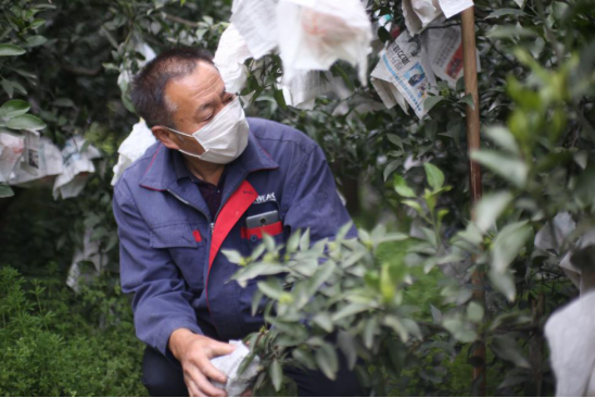 1585190566274003600.png image.png